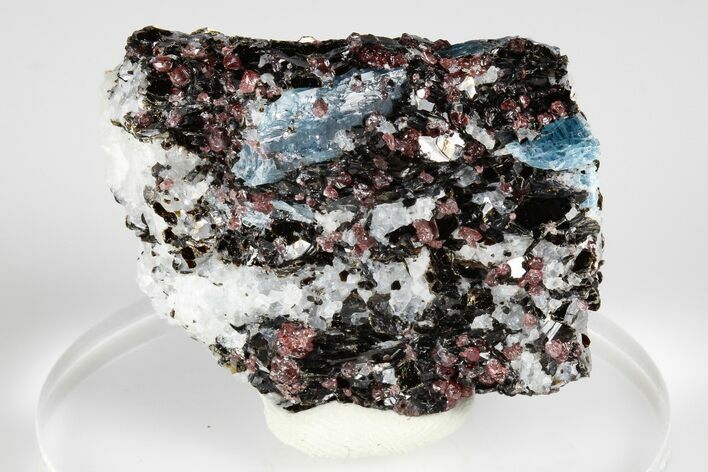Blue Kyanite & Garnet in Biotite-Quartz Schist - Russia #178938